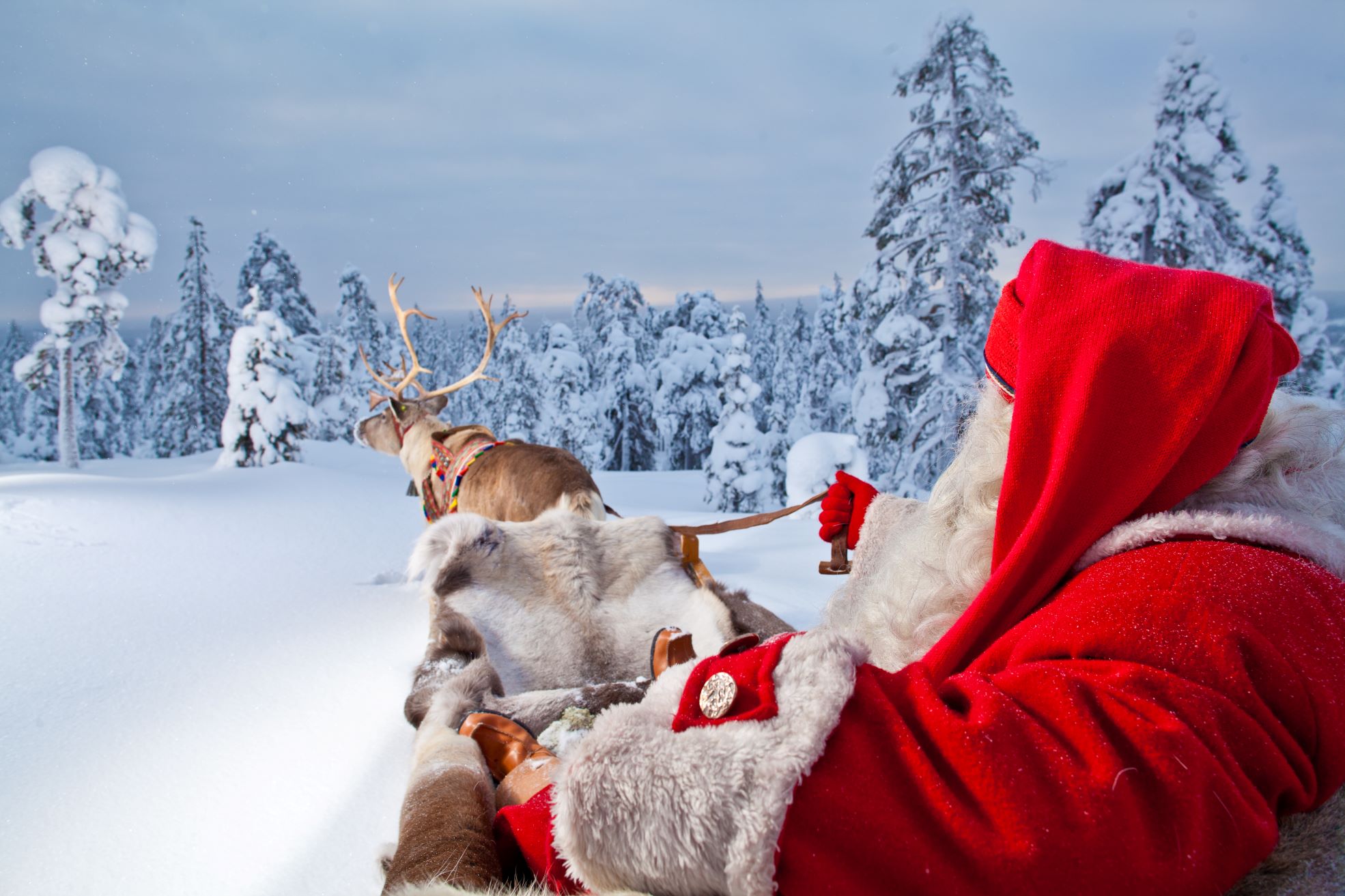 Santa Claus and his reindeer